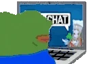 VRC emote