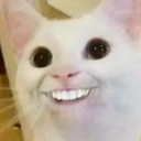 non emote