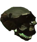 outv emote