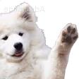 puppy_hi emote