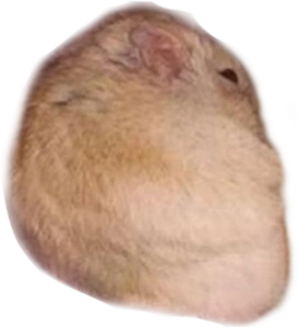 AngyHamster emote