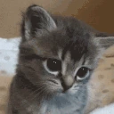 Oh emote