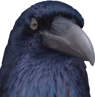 Corbeauetlerenard emote