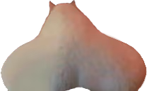 Preposterous emote