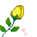 RoseYellow emote