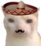 MexicoCat emote