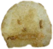 mad emote