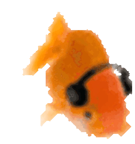 dancing_fish emote