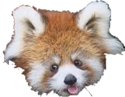 redpandableppng emote