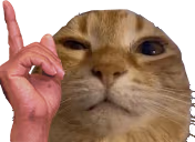 hesWuh emote