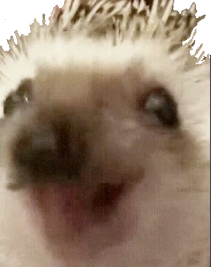 happyhedgy emote