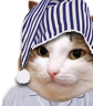kiisu_sleepy emote