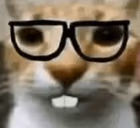 NERD emote
