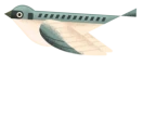 msfs_bird emote