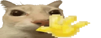 otaghi emote