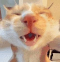 awaa emote