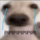 pipipi emote