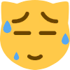 emoji5sk emote