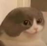 melvin emote