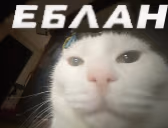 EBLAN emote