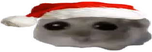 oh emote