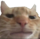 cringe emote
