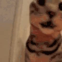 YoConfundido emote