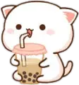 bobacat emote