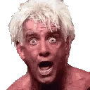 FlairWoo emote