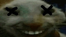 xded emote