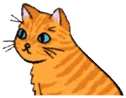 Tabby emote