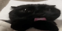 mlem emote