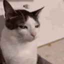 SUS emote