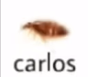 carlos emote
