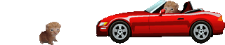 hitandrunbert animated emote