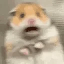 scaredhamster emoji
