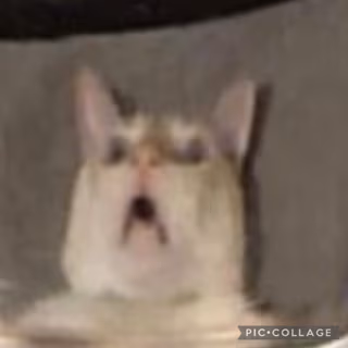AHHHHH emote