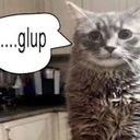 glup emote