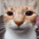 pspstare emote
