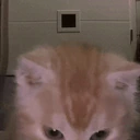 Aura emote