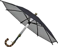 UndercoverBrella emote