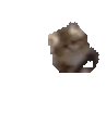 hi emote