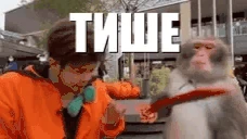 Tishe emote