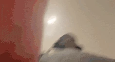 YRGSTROKES emote