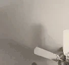 catPunching emote