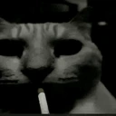 smokeDespair emote