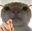 point static emote