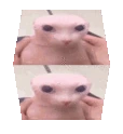 bingusCube emote