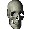SpinningSkull emote