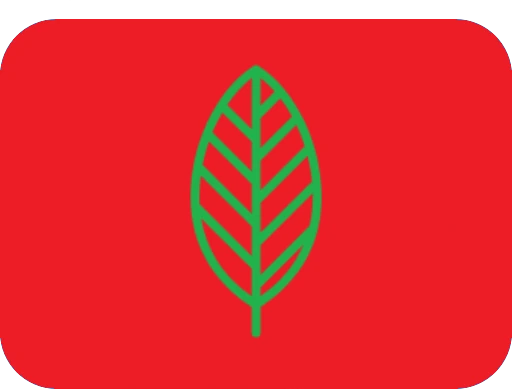 ecosoc_flag emote